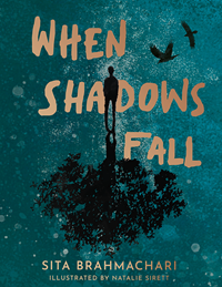 When Shadows Fall, Hardback Book